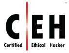 Certified Ethical Hacker